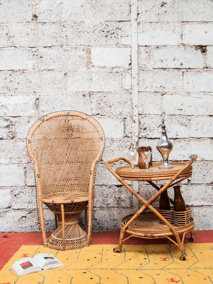 emmanuel-fauteuil-rotin-16-2