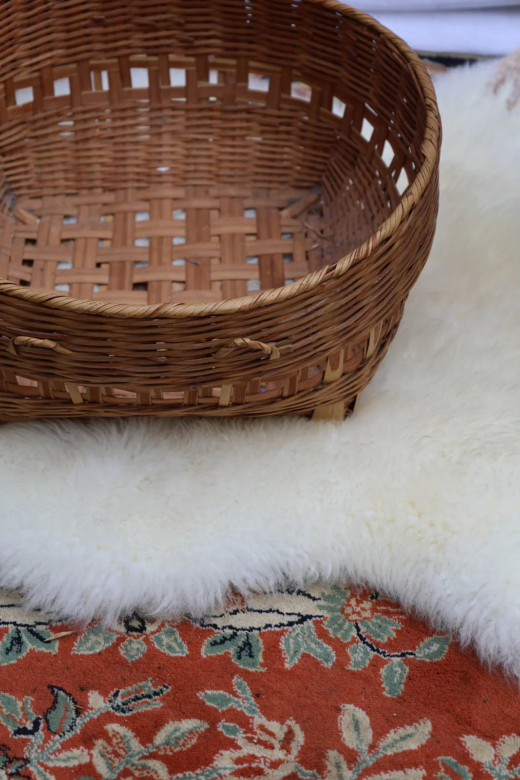 ambroise-panier-osier-747-3