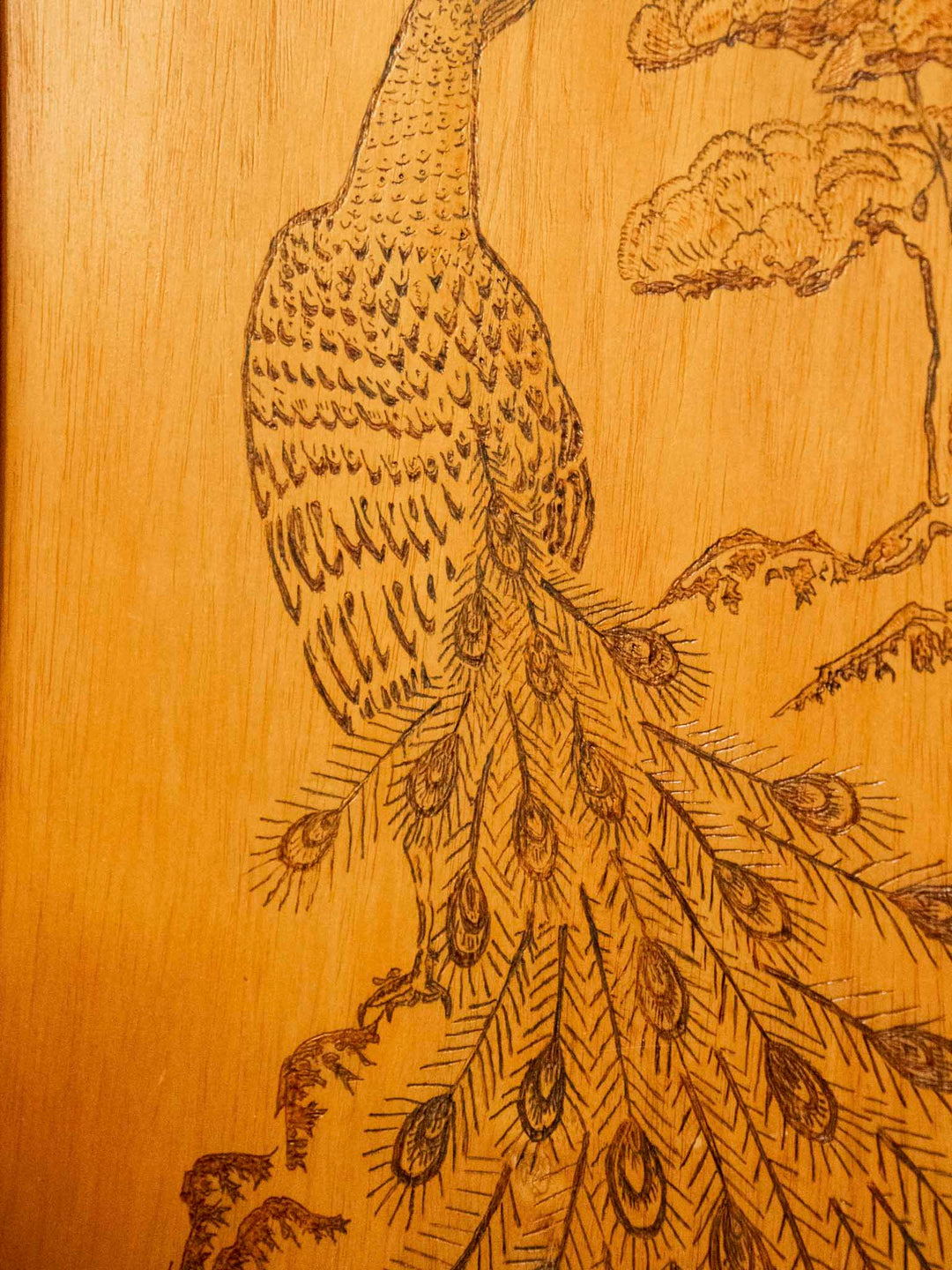noah-decor-mural-bois-35-7