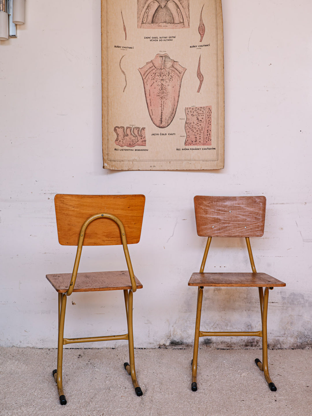 claude-chaise-metal-861-4