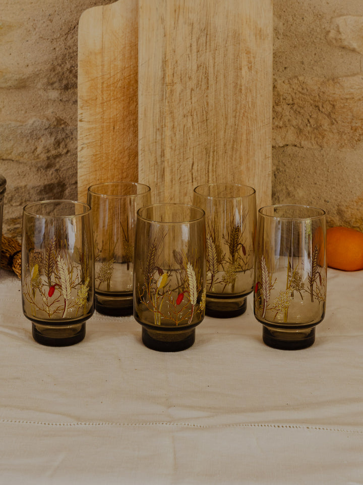 eugene-lot-verres--verre-230-3