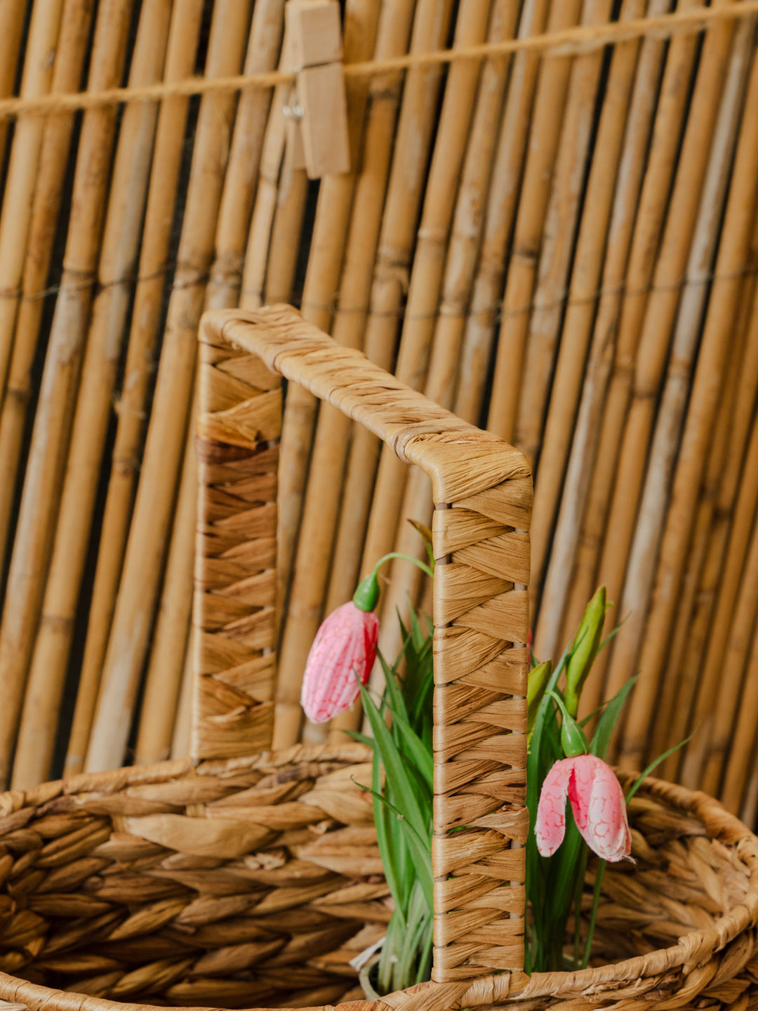 ambroise-panier-osier-982-5