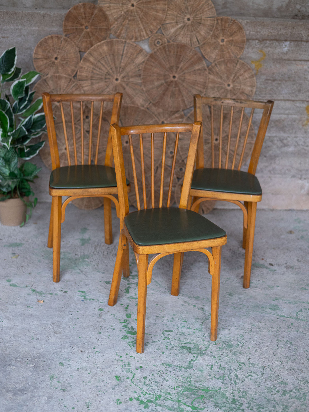 alma-chaise-bois-baumann-2044-2