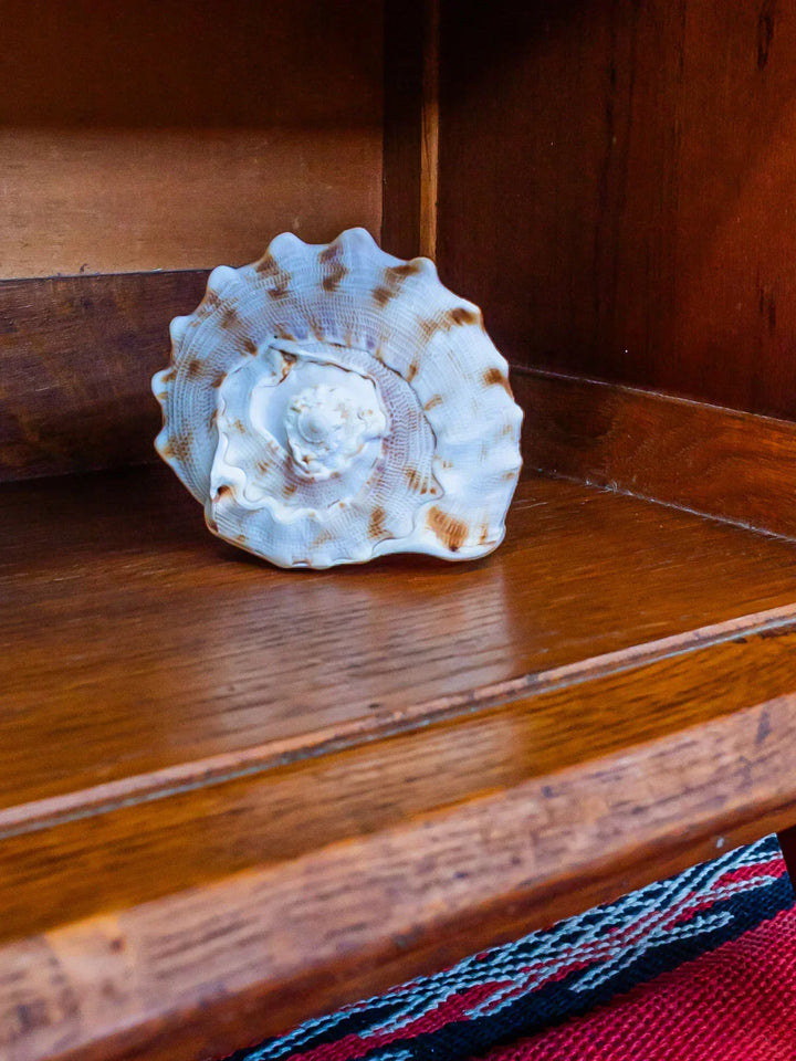 maïa-table-chevet-bois-252-4