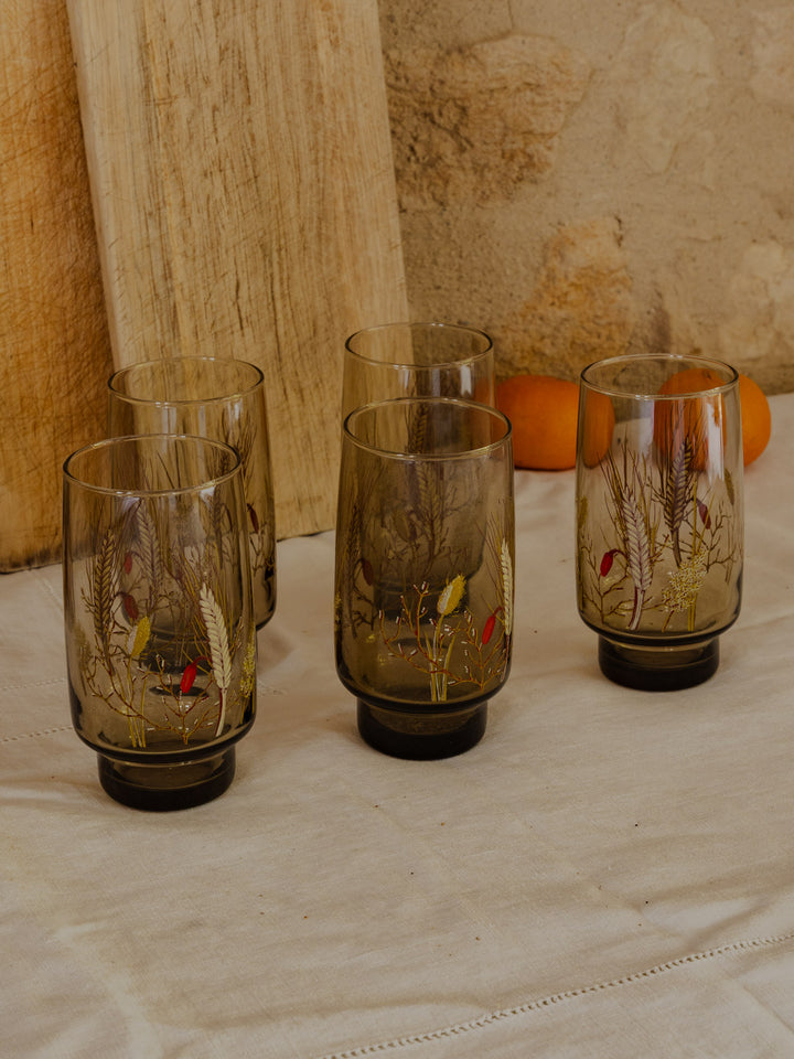 eugene-lot-verres--verre-230-4