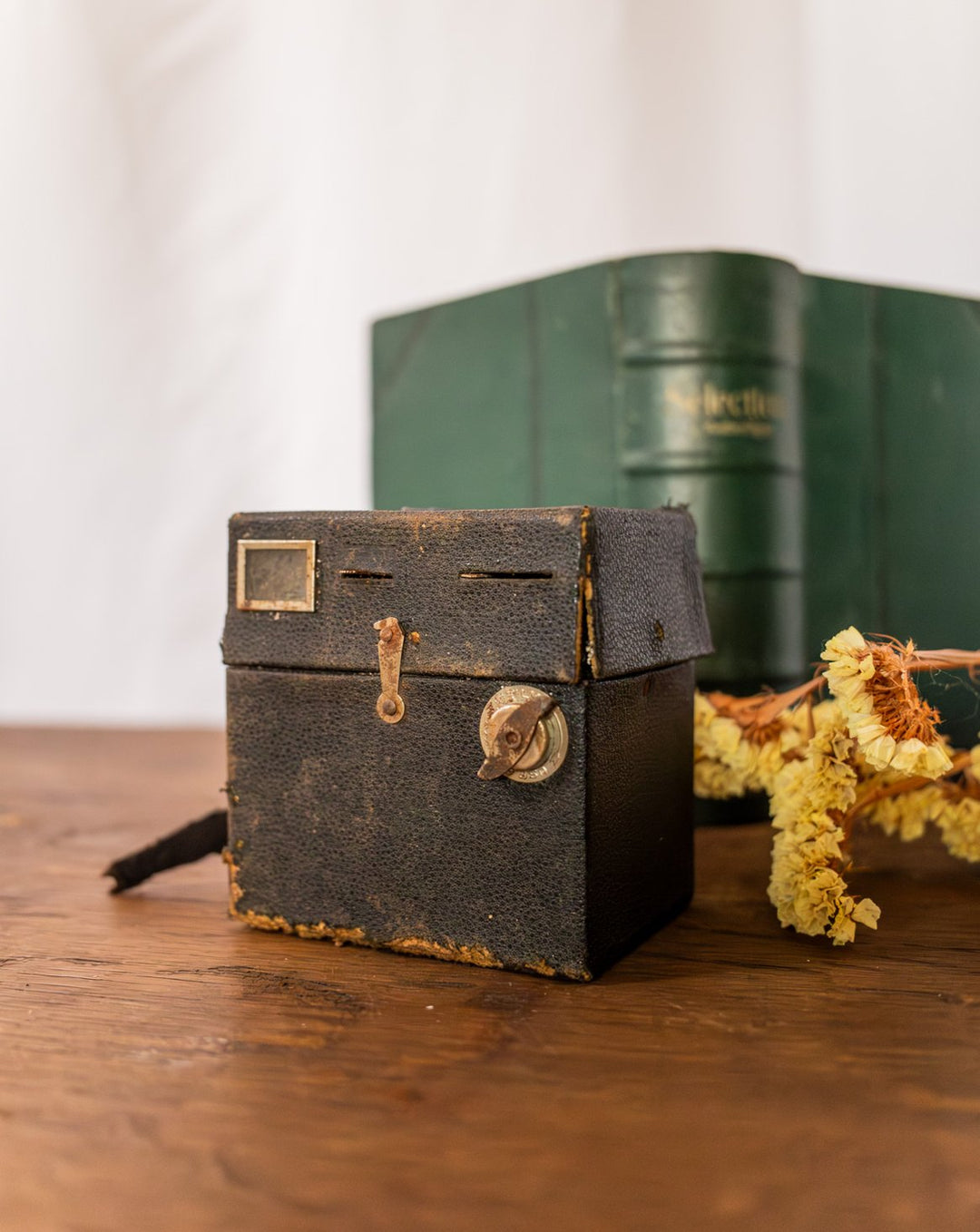 alix-decoration-plastique-550-1