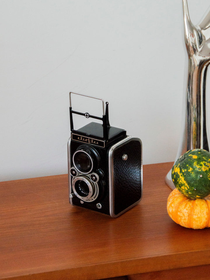 alix-decoration-photo-505-3