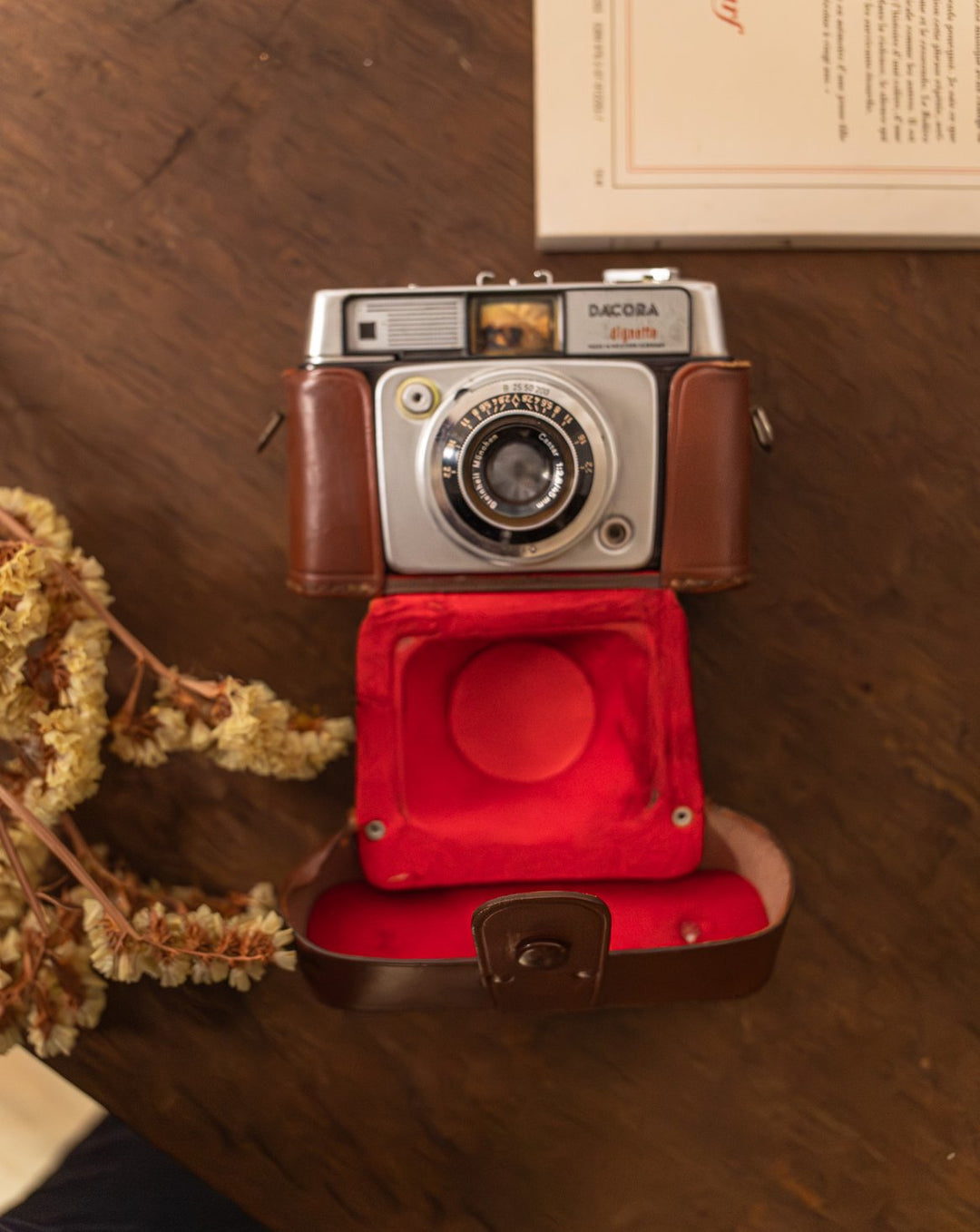 alix-decoration-plastique-551-1