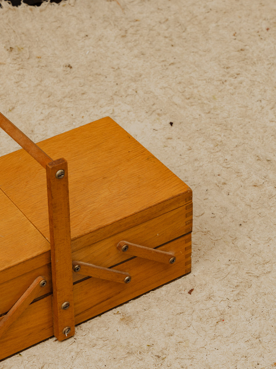 brigitte-travailleuse-bois-377-7
