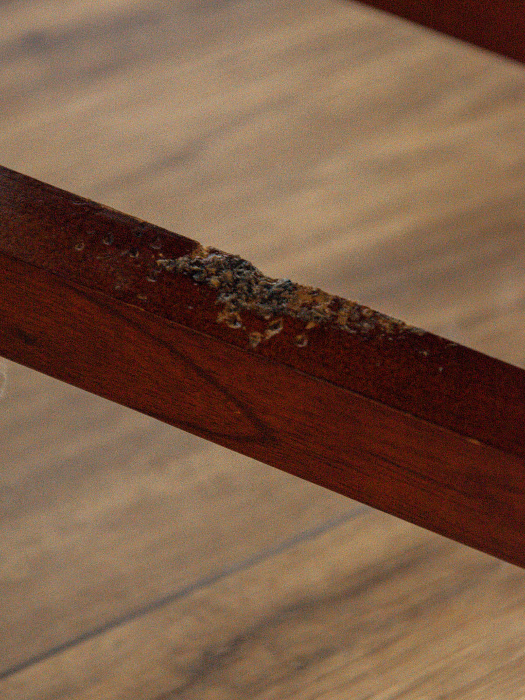 ernest-fauteuil-bois-583-12