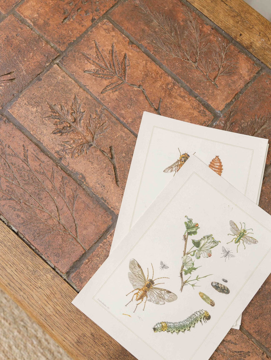 Table_Basse_Faience_Herbier-4.jpg