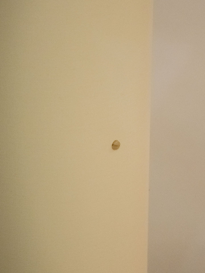 julien-lampadaire-rotin-149-6