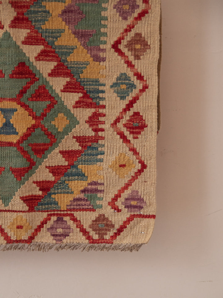 Eddy, the kilim rug N°171