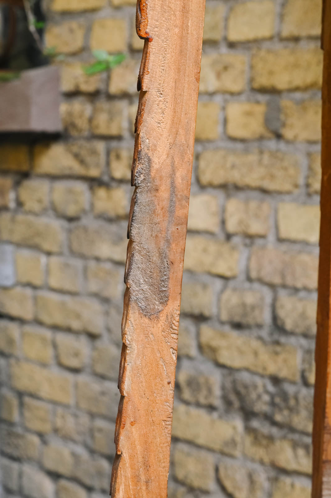 ariel-porte-plante-bois-548-8
