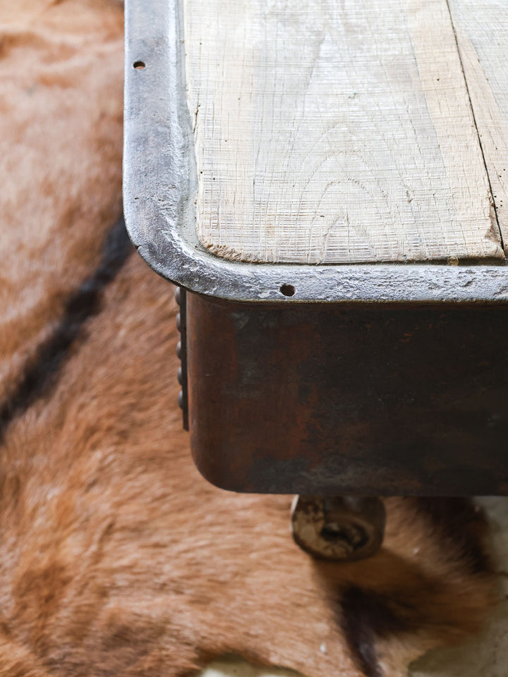 leonie-table-basse-metal-433-10