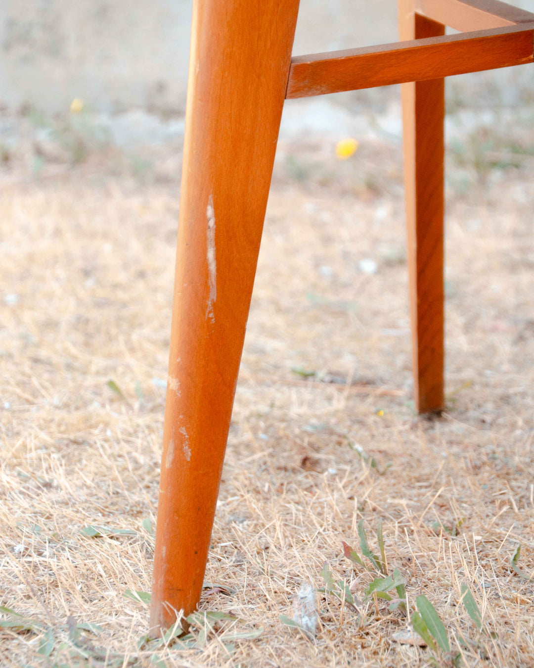 alma-lot-chaise-bois-hêtre-skai-1745-9