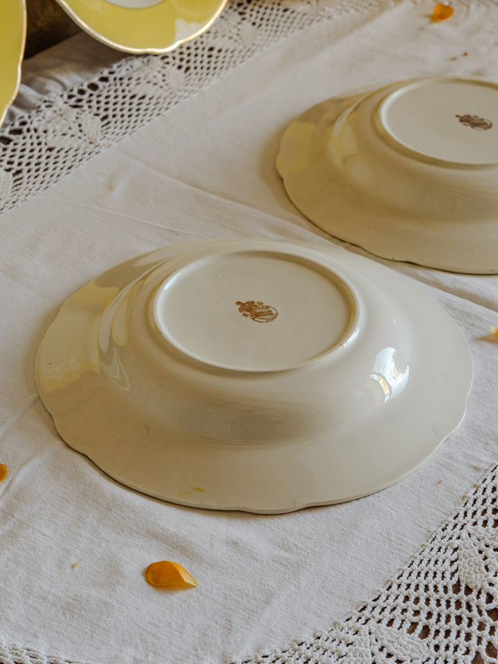 antoinette-assiette-vintage-faïence-272-7