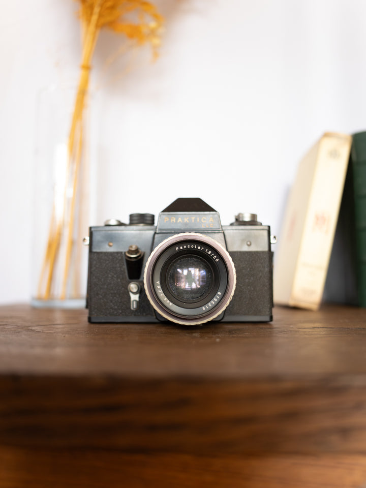 alix-decoration-plastique-547-5