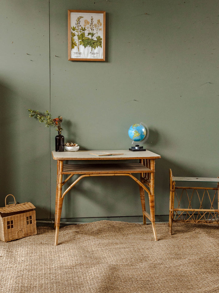 edouard-bureau-rotin-520-3