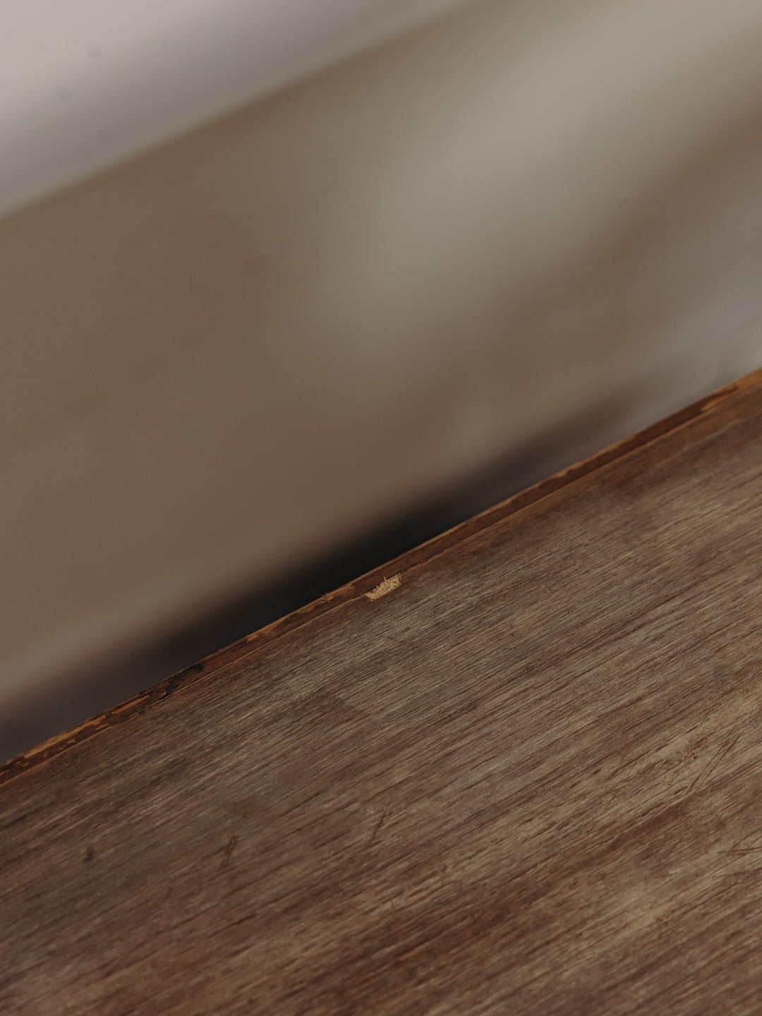 brigitte-travailleuse-bois-370-6