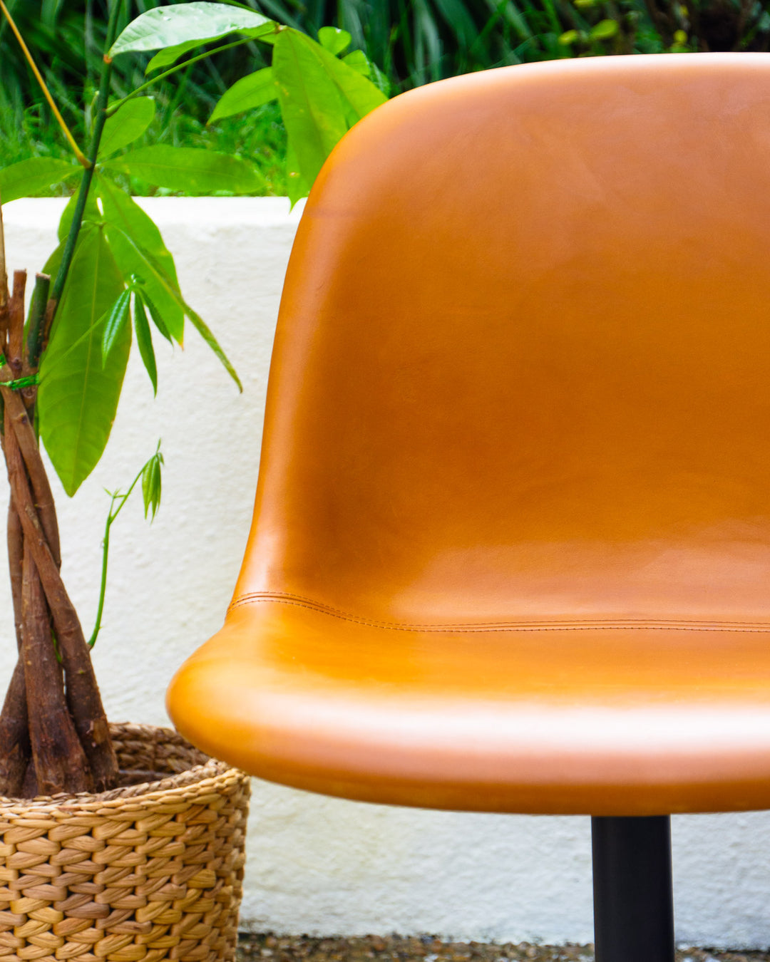 alma-chaise-cuir-1526-4