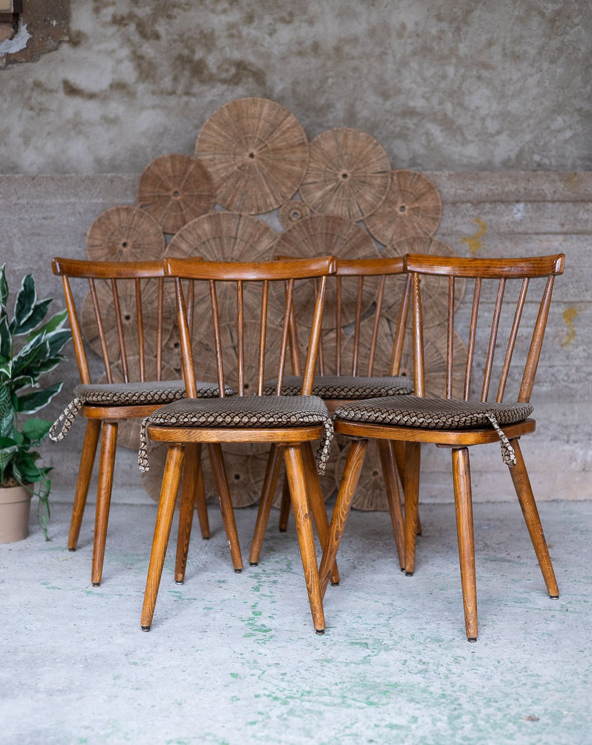 alma-chaise-bois-graphique-scandinave-2048-1