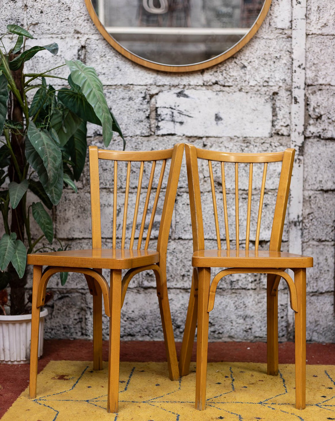 alma-chaise-bois-baumann-2128-1