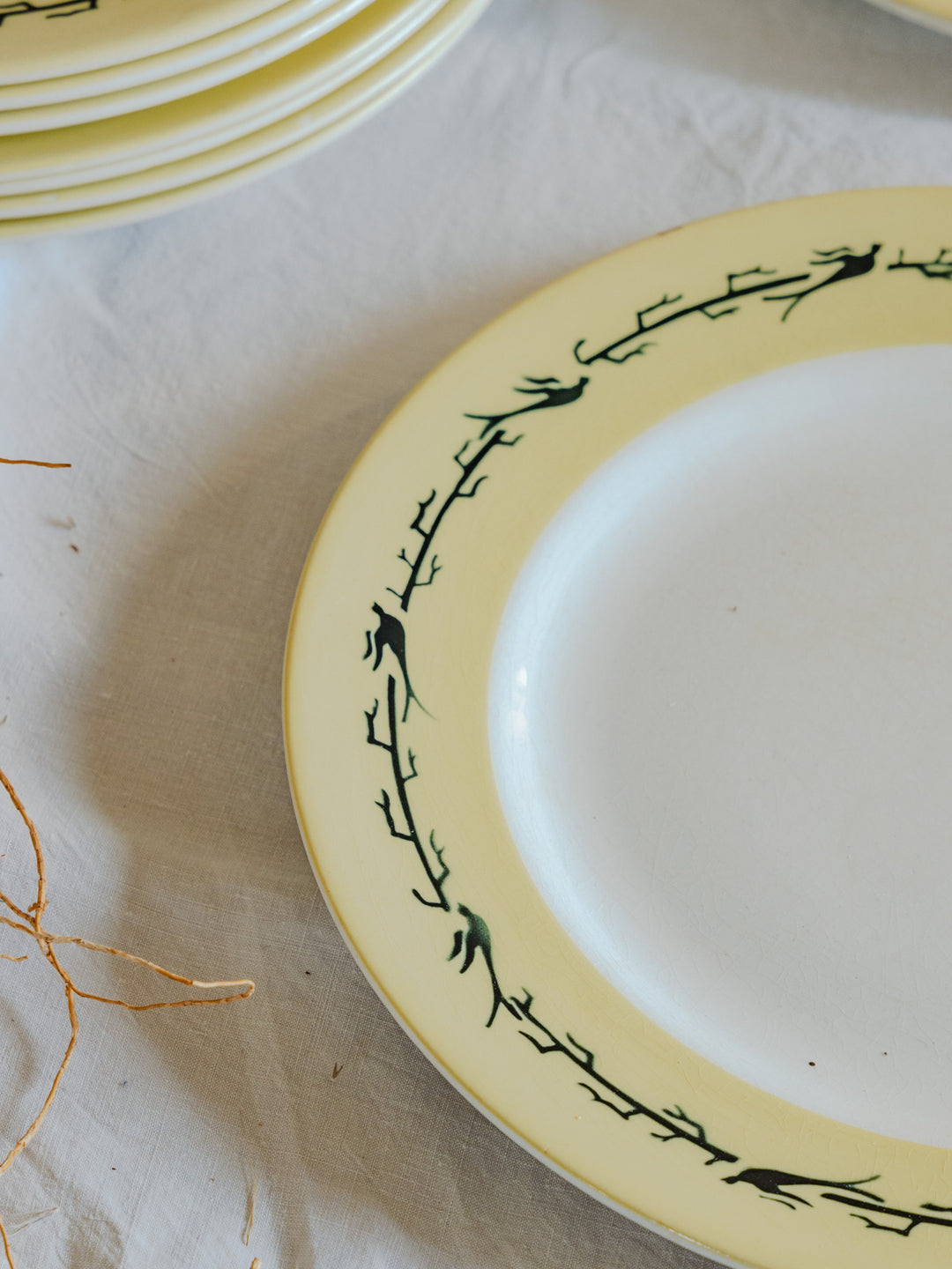 antoinette-assiette-vintage-faïence-226-4