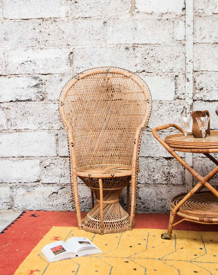 emmanuel-fauteuil-rotin-16-1