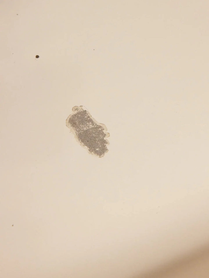 louise-coiffeuse-verre-250-9