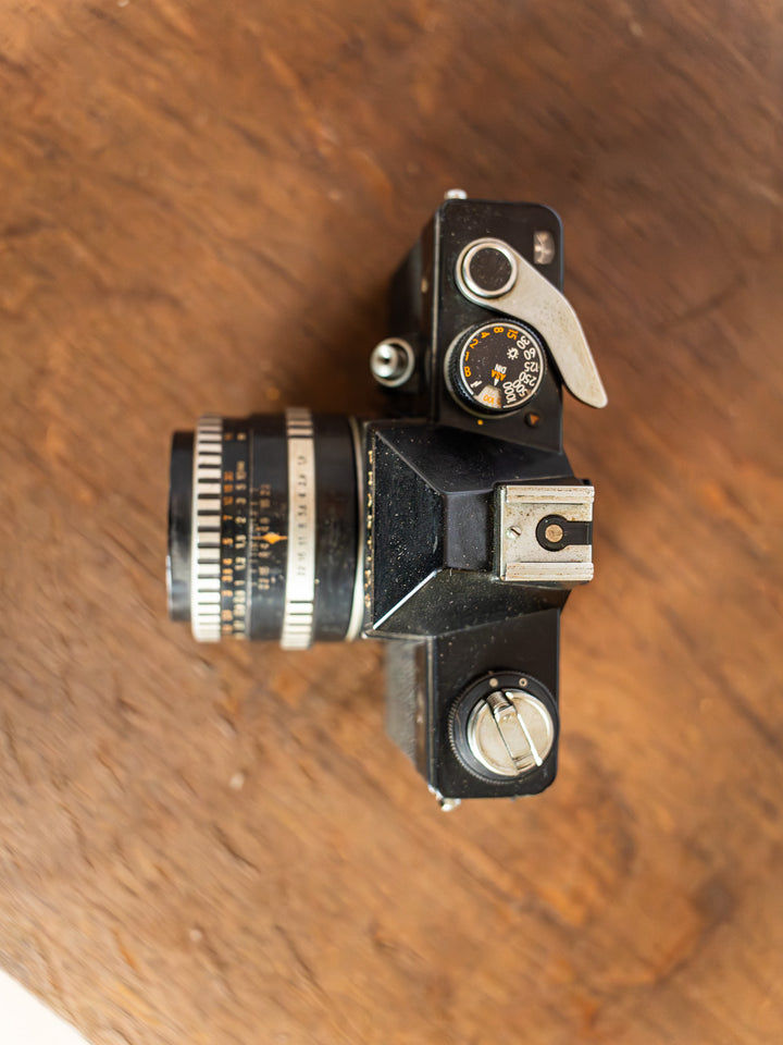 alix-decoration-plastique-547-3