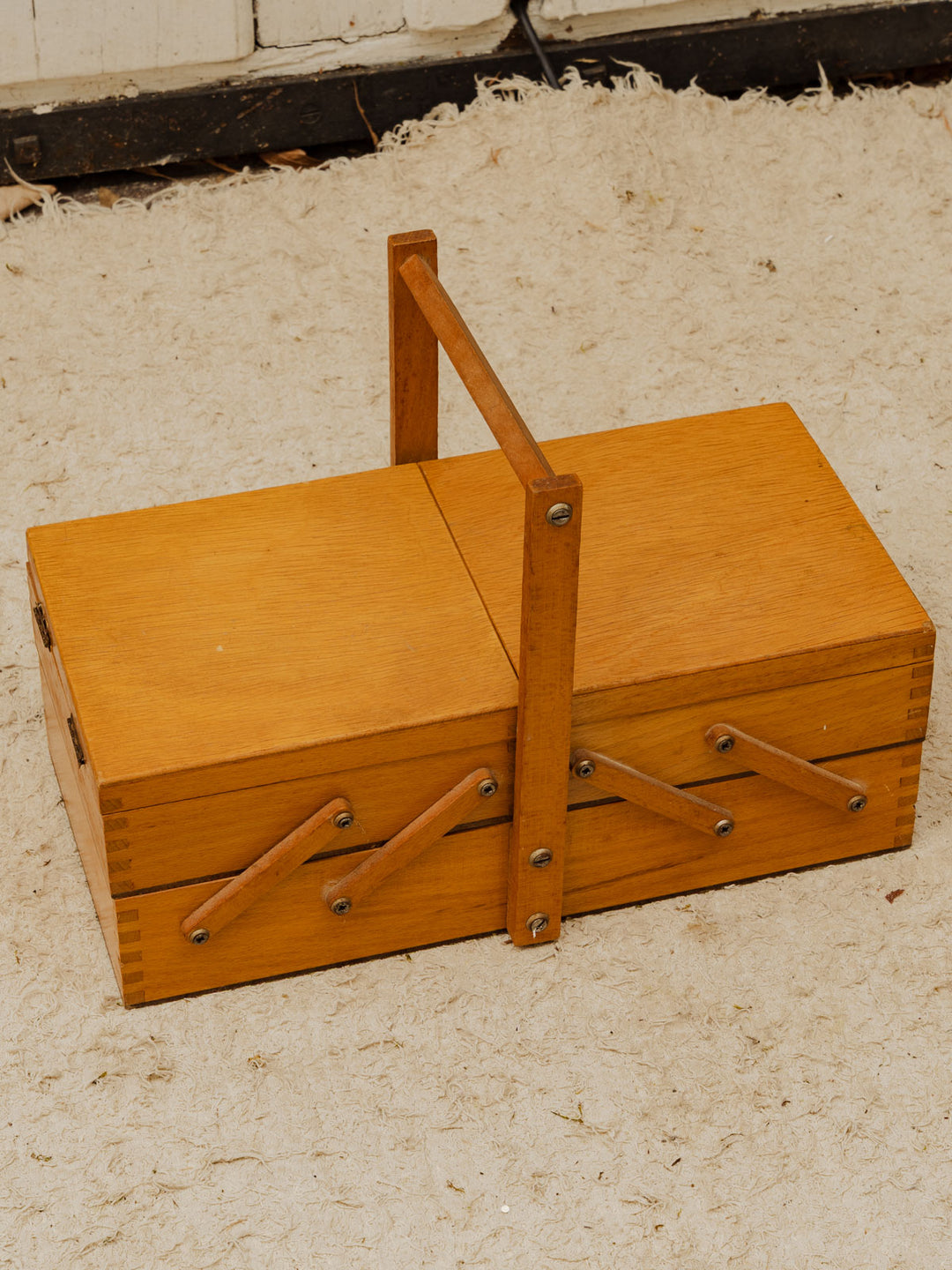 brigitte-travailleuse-bois-377-5