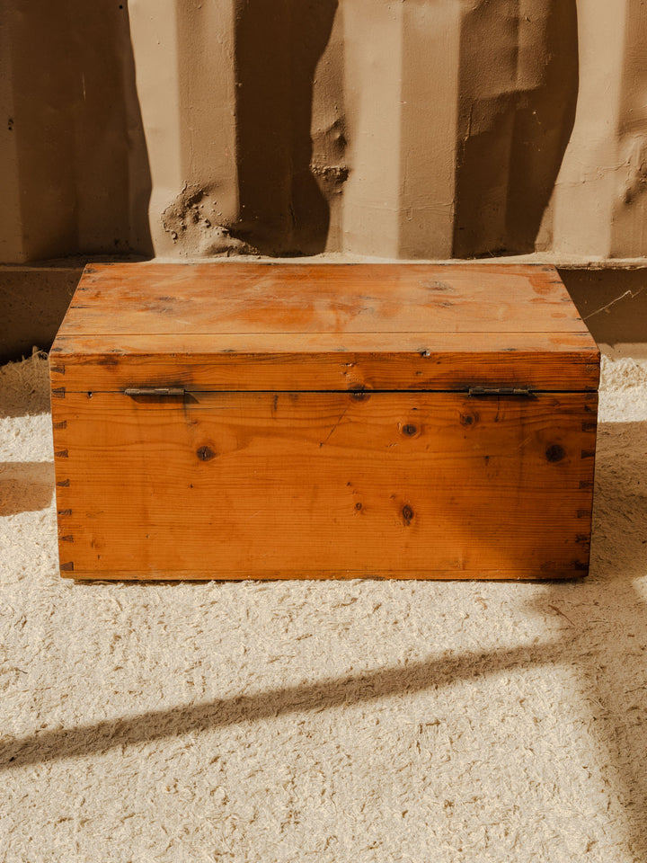 lucien-coffre-bois-170-12
