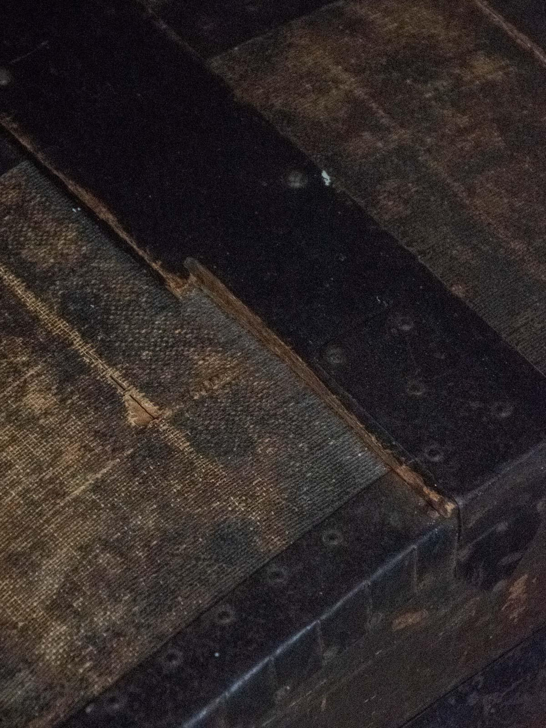 lucienne-malle-bois-214-8