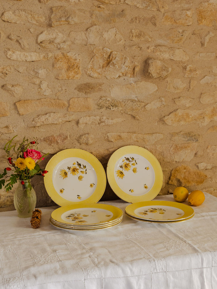 antoinette-assiette-vintage-faience-336-2
