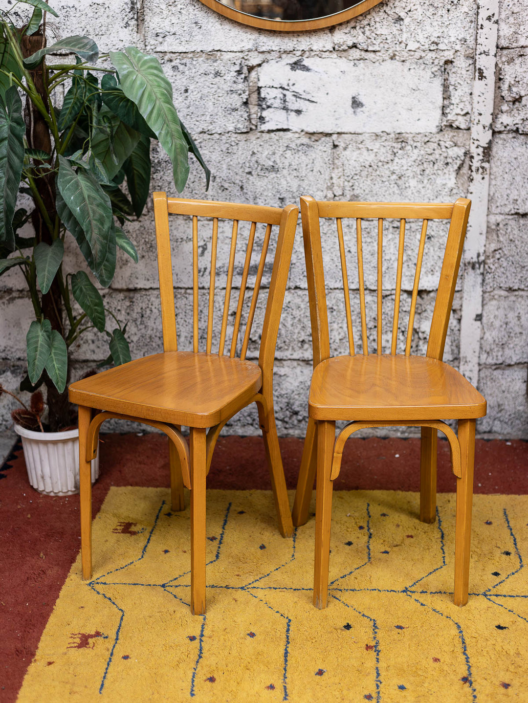 alma-chaise-bois-baumann-2128-2