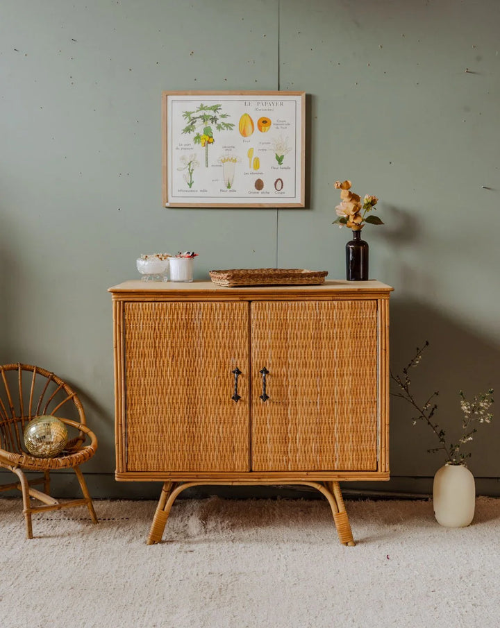 gustave-buffet-osier-539-1