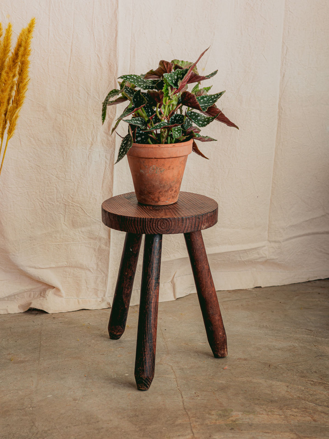 regis-tabouret-bois-tripode-1535-5