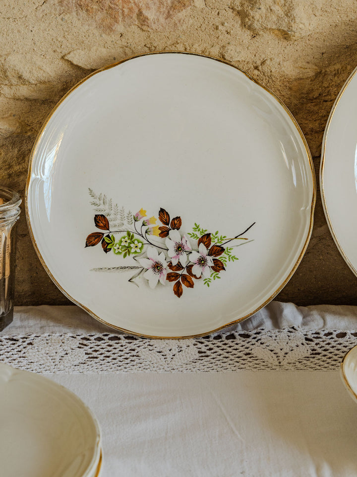 nestor-service-vaisselle-faïence-591-5