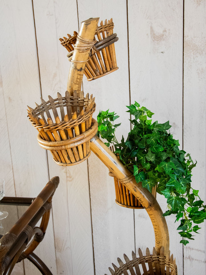 ariel-porte-plante-bambou-477-5