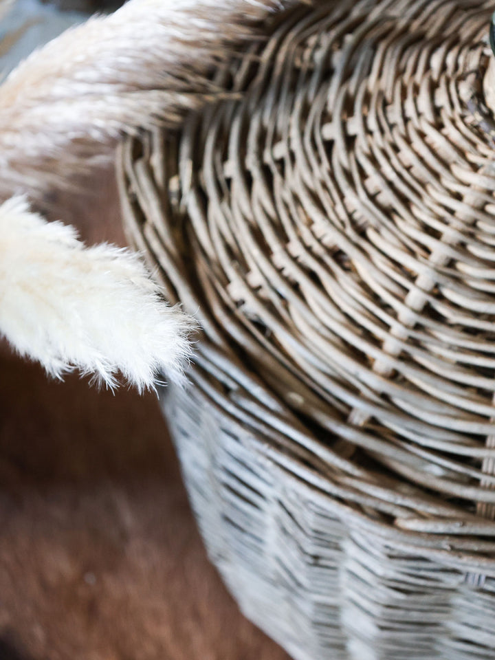 edmond-vase-verre-osier-105-5