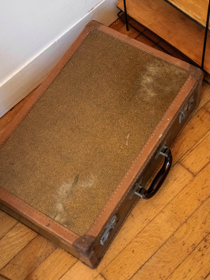 lucienne-malle-bois-277-5