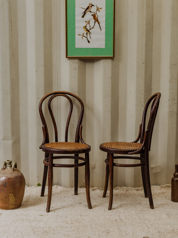 claude-chaise-bois-1240-3