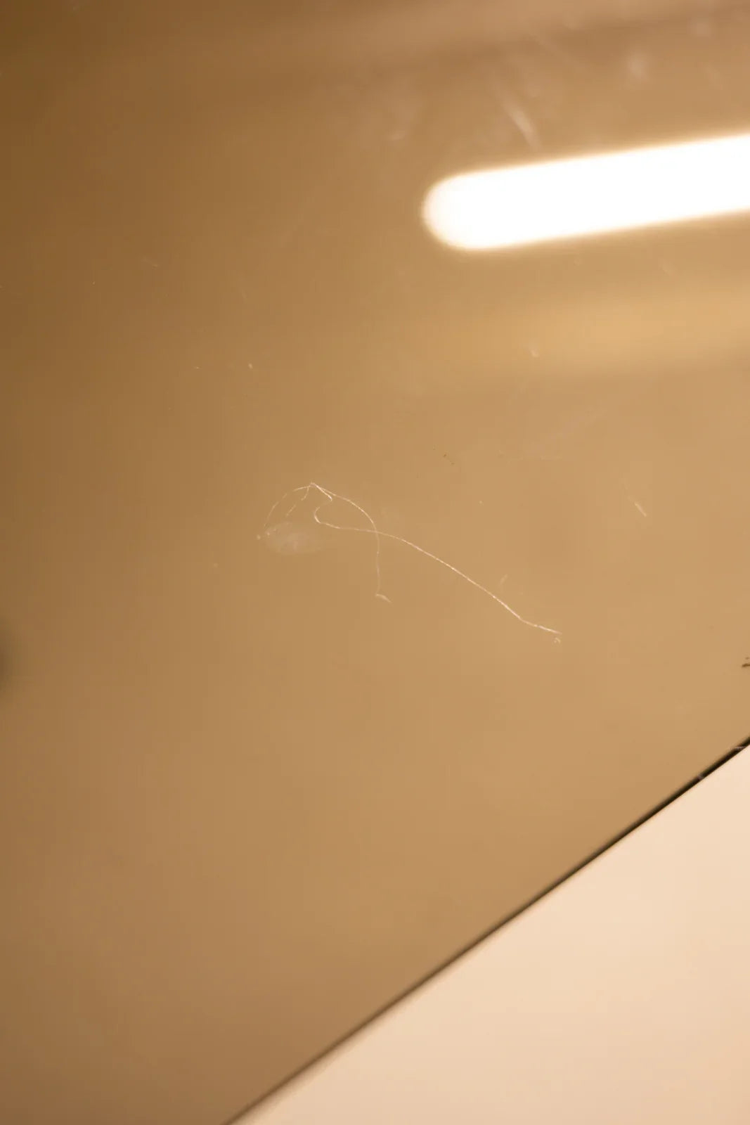 karla-table-à-manger-verre-1136-10