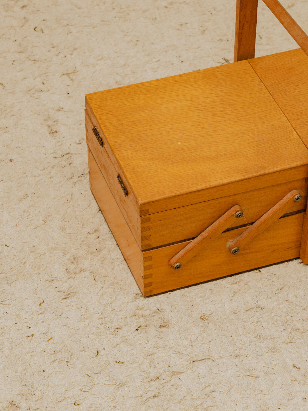 brigitte-travailleuse-bois-377-6