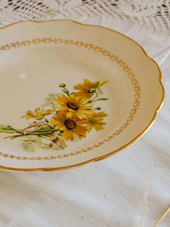 nestor-service-vaisselle-faïence-593-8