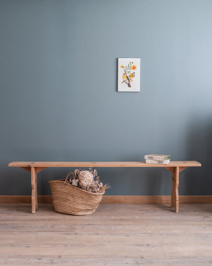 antoine-banc-sapin-268-1