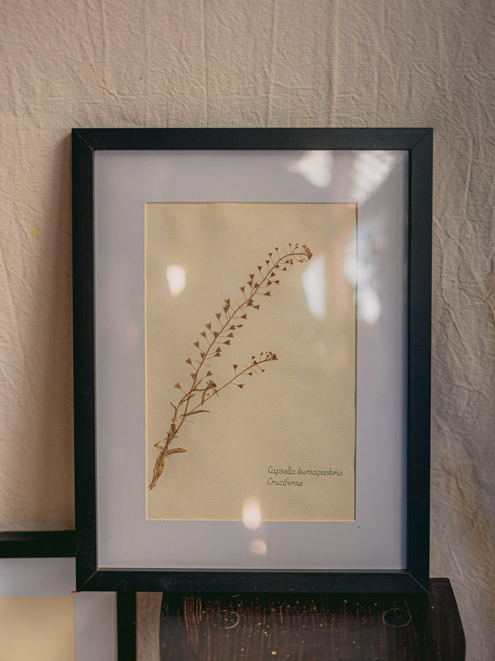 nina-herbier-425-5