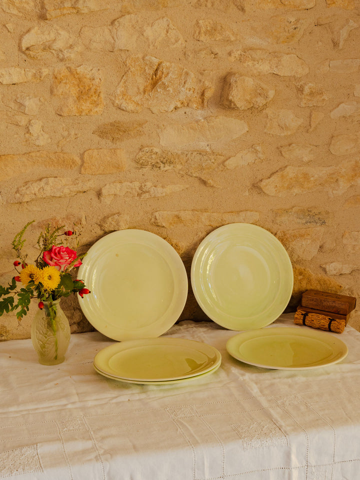 antoinette-assiette-vintage-faience-341-2
