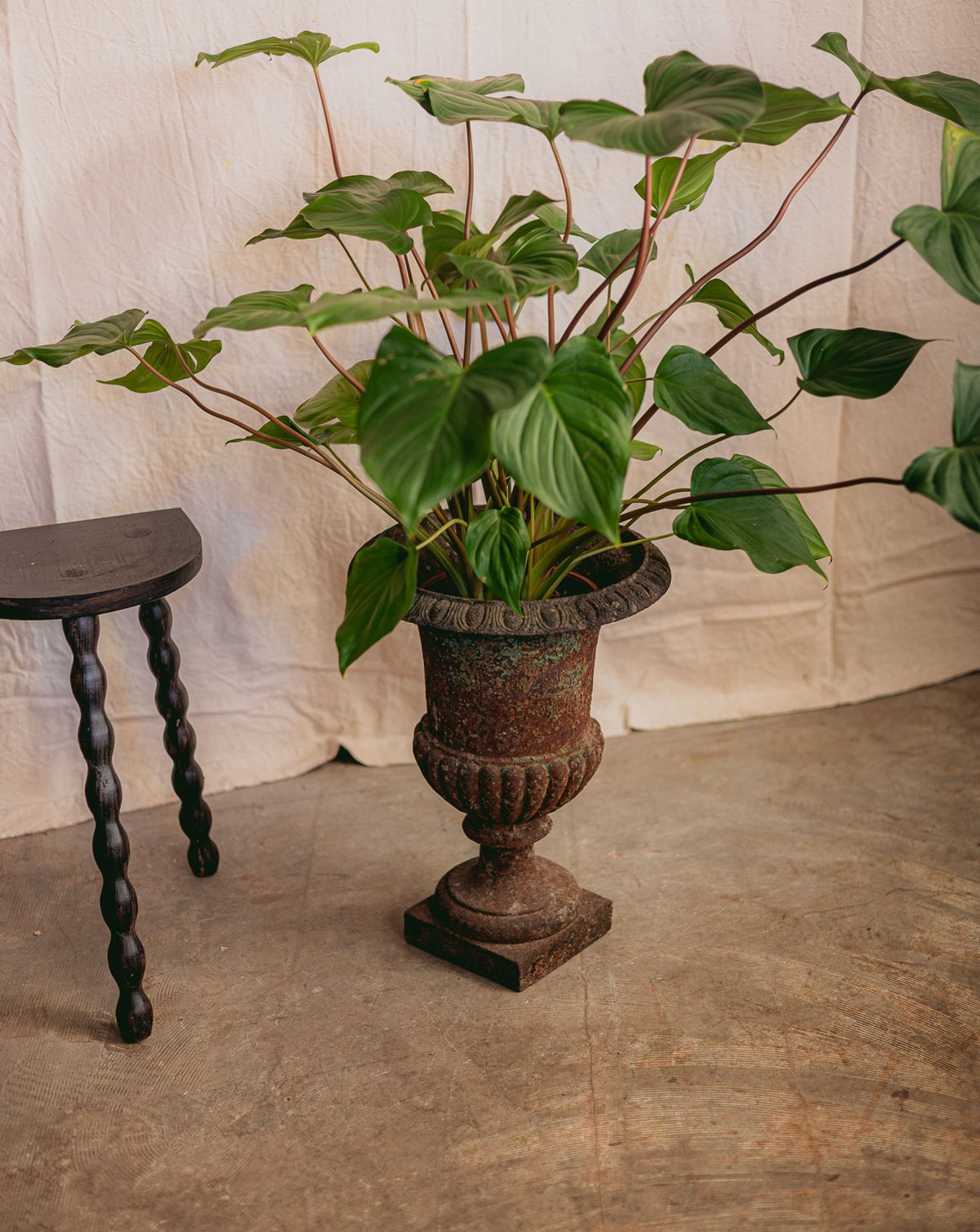 ariel-pot-medicis-fonte-546-1